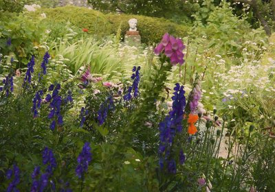 Summer Abundance by Helen White